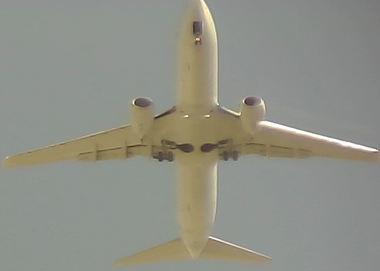 Airplane Picture
