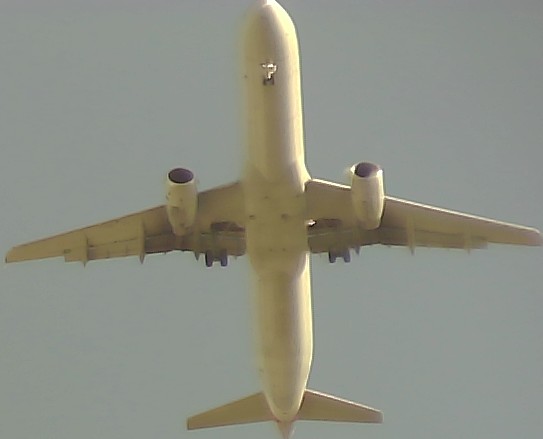 Airplane Picture
