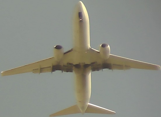 Airplane Picture