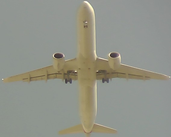 Airplane Picture