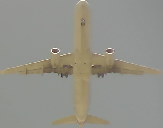 Airplane Picture