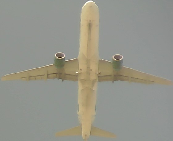 Airplane Picture