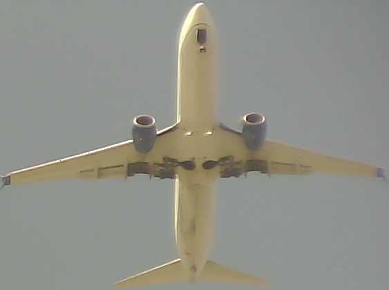 Airplane Picture