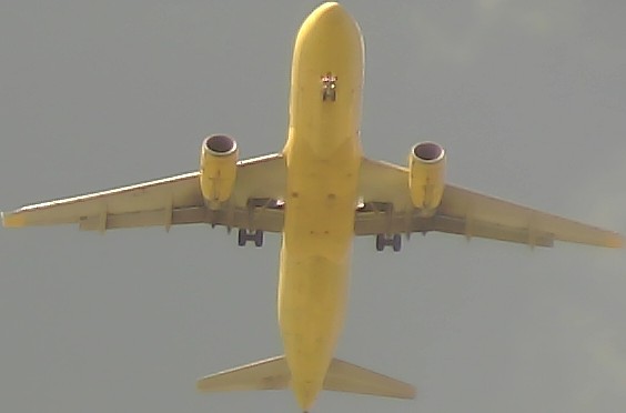 Airplane Picture