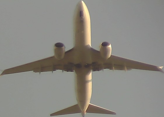 Airplane Picture