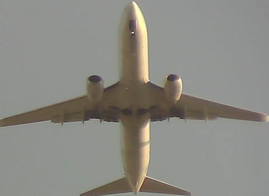 Airplane Picture