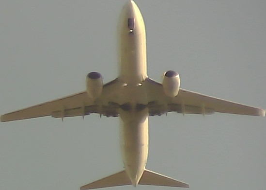 Airplane Picture