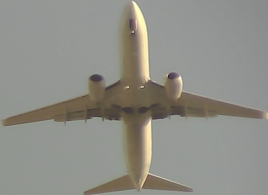 Airplane Picture