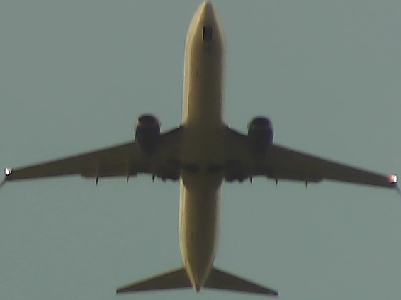 Airplane Picture