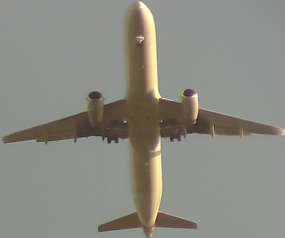 Airplane Picture