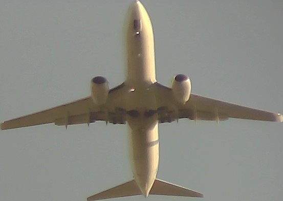 Airplane Picture