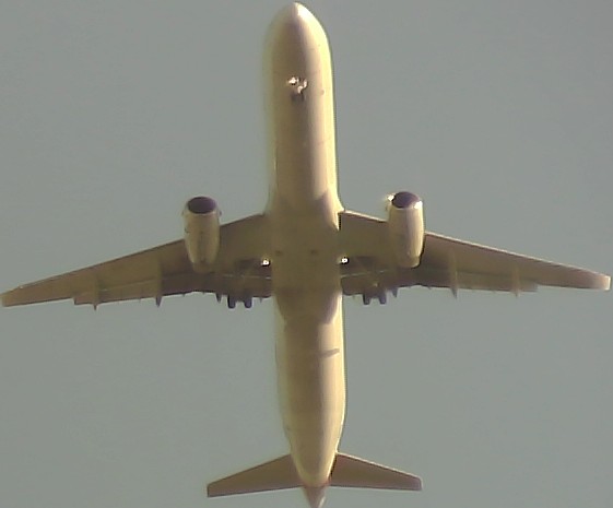 Airplane Picture
