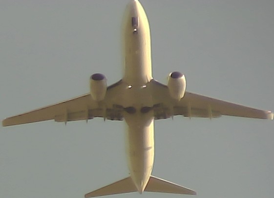 Airplane Picture