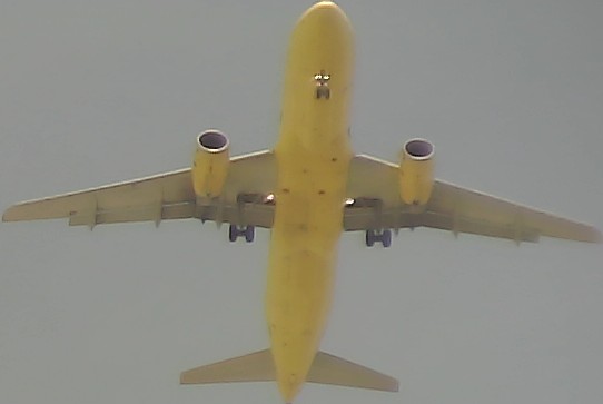 Airplane Picture