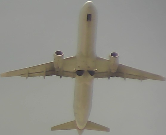 Airplane Picture