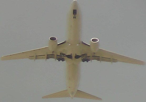 Airplane Picture