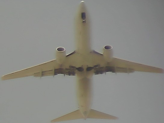 Airplane Picture