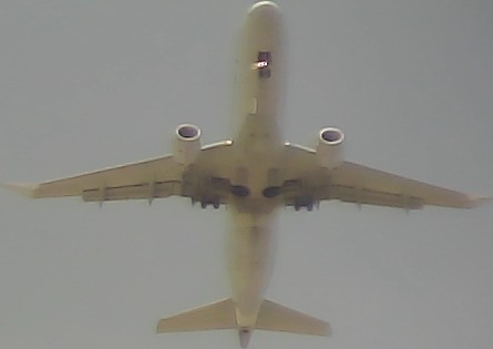 Airplane Picture