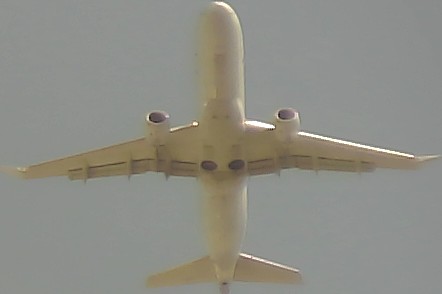 Airplane Picture