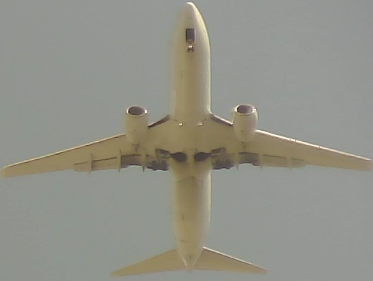 Airplane Picture
