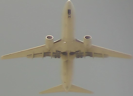 Airplane Picture