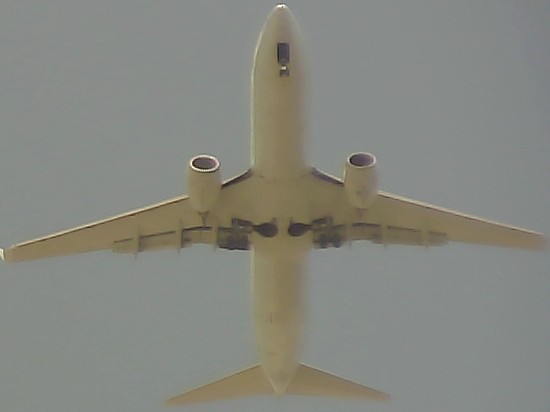 Airplane Picture