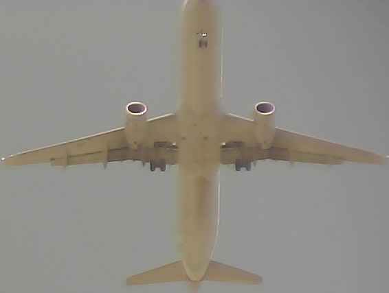 Airplane Picture