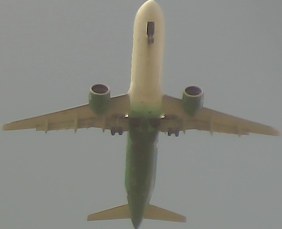 Airplane Picture
