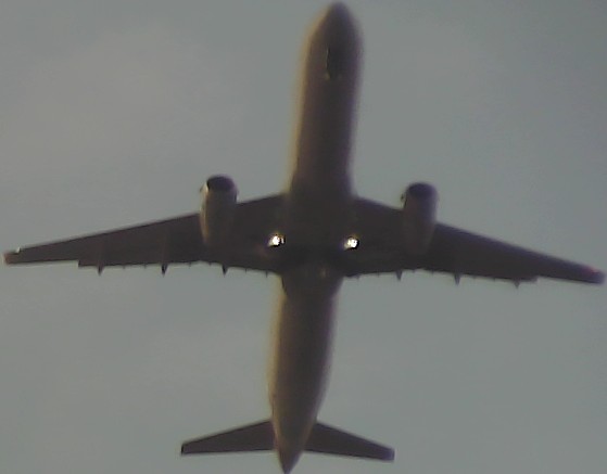 Airplane Picture