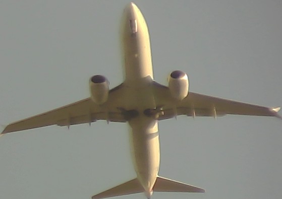 Airplane Picture