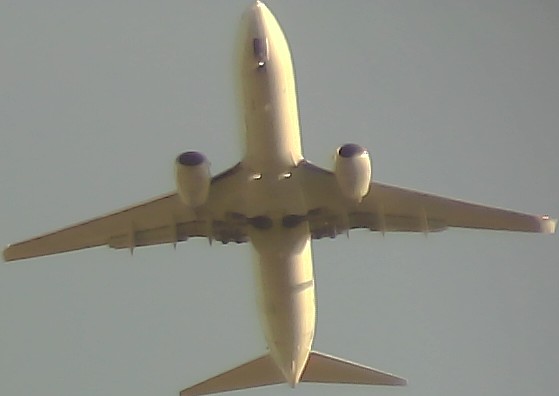 Airplane Picture