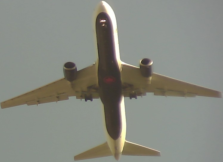 Airplane Picture