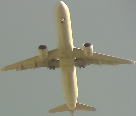 Airplane Picture