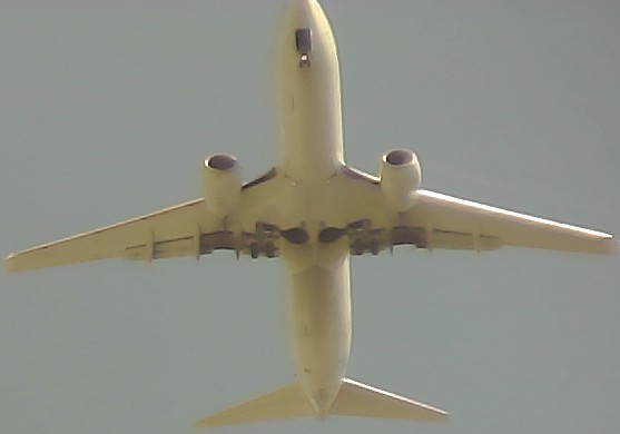 Airplane Picture