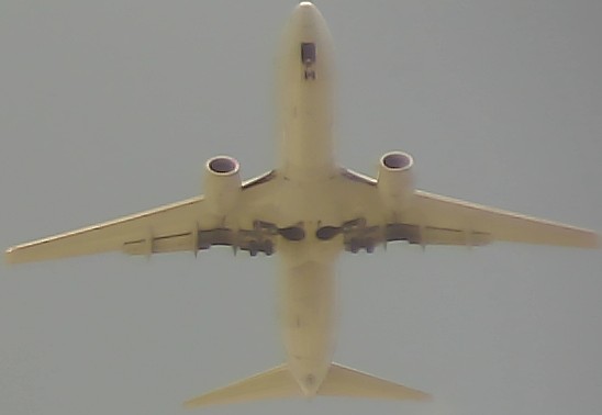 Airplane Picture