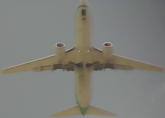 Airplane Picture