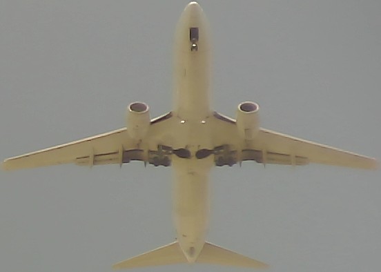 Airplane Picture