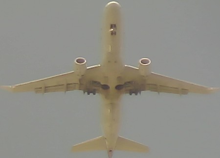 Airplane Picture