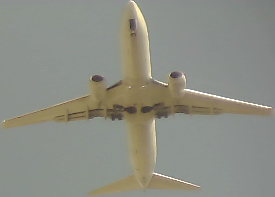 Airplane Picture