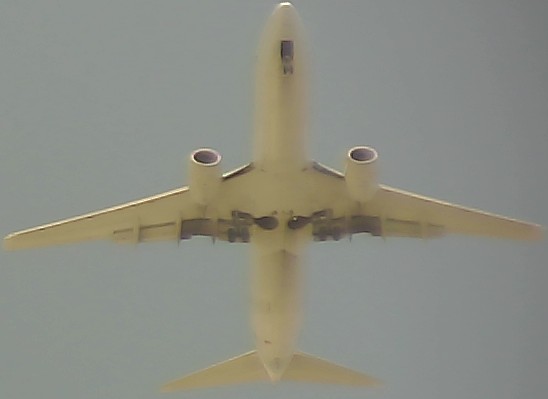 Airplane Picture