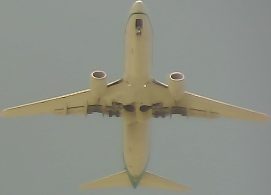 Airplane Picture