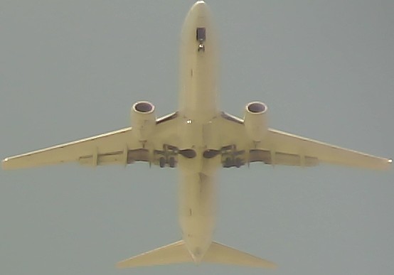 Airplane Picture