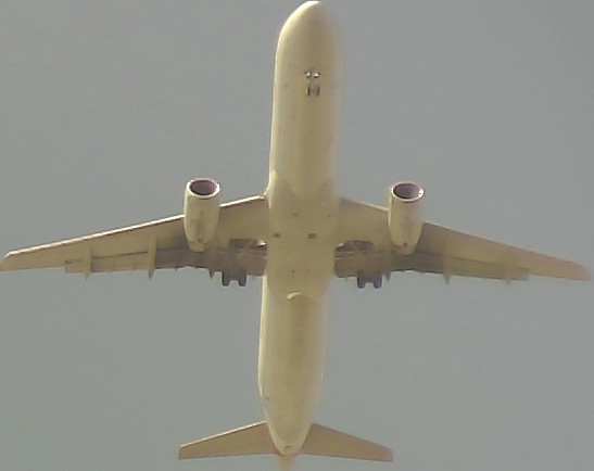 Airplane Picture