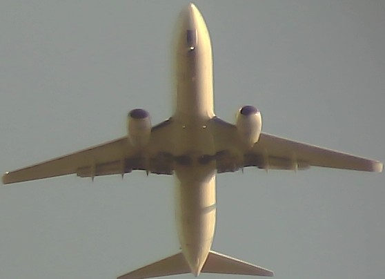 Airplane Picture