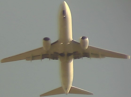 Airplane Picture