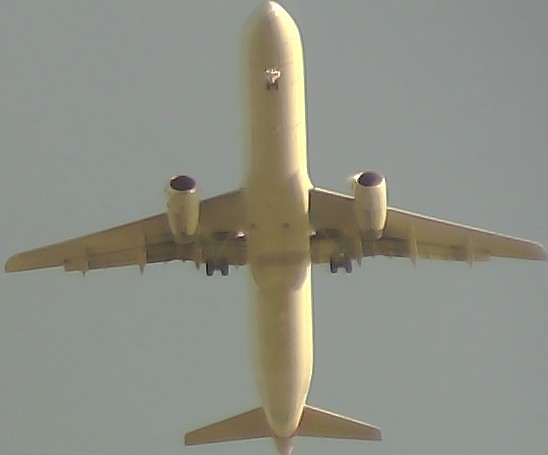 Airplane Picture