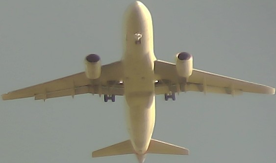 Airplane Picture