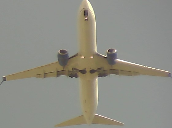 Airplane Picture