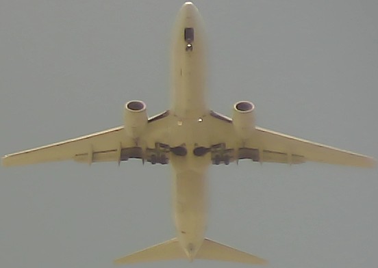 Airplane Picture