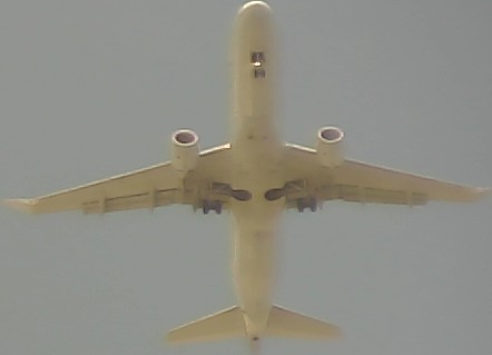 Airplane Picture